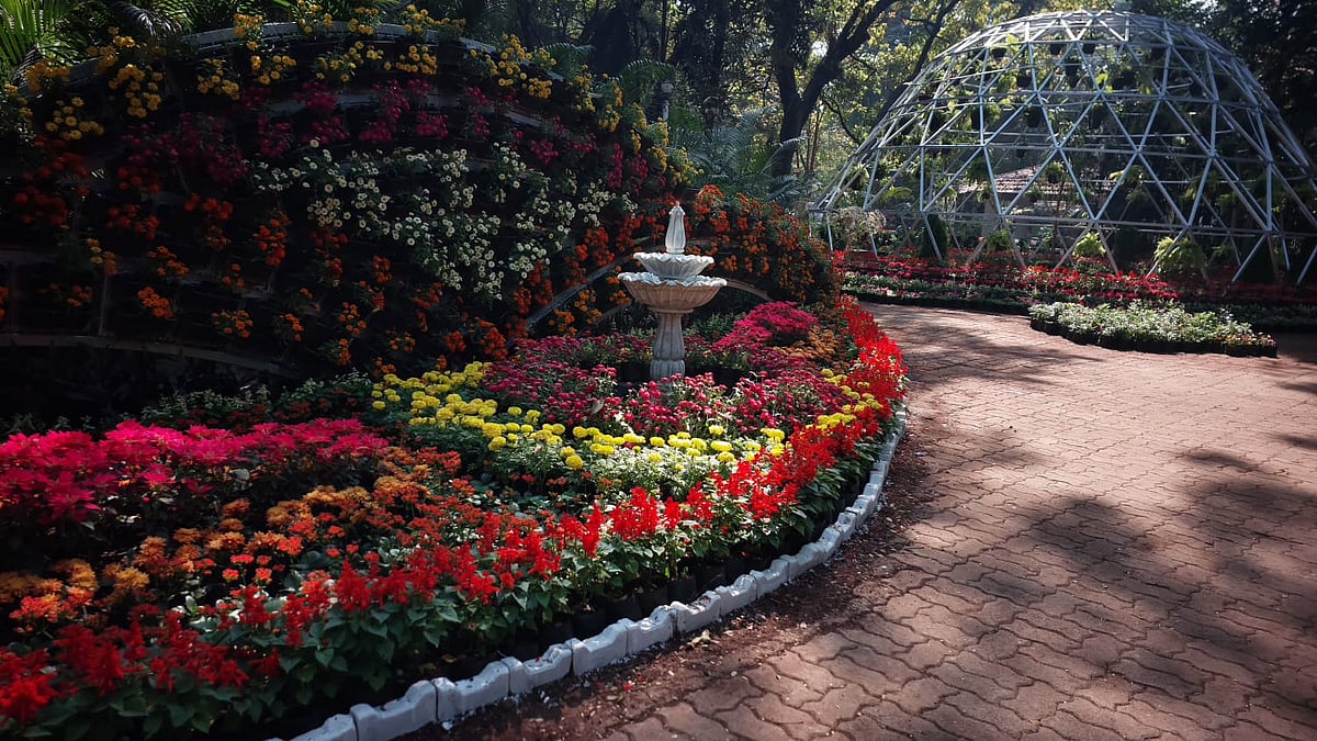 Pune: Empress Garden Flower Show 2026 Dedicated To Madhav Gadgil - Dates, Timings & All You Need To...