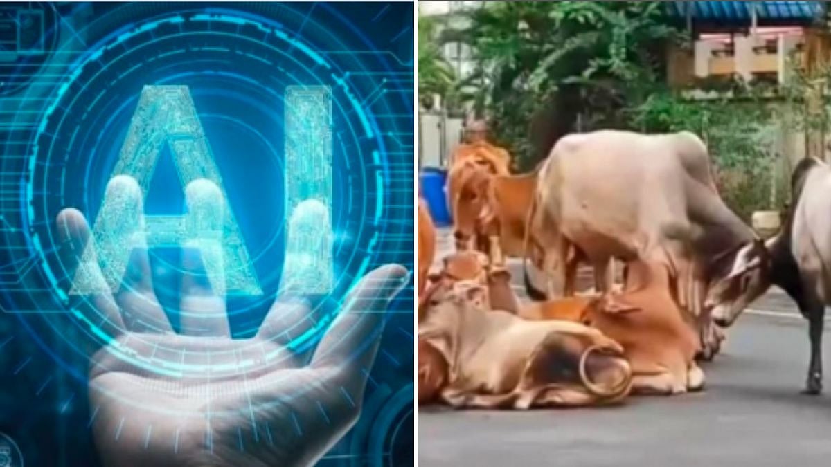 Gujarat Govt Plans AI-Based System To Identify Stray Cattle In Ahmedabad, Boosting Smart City Governance 