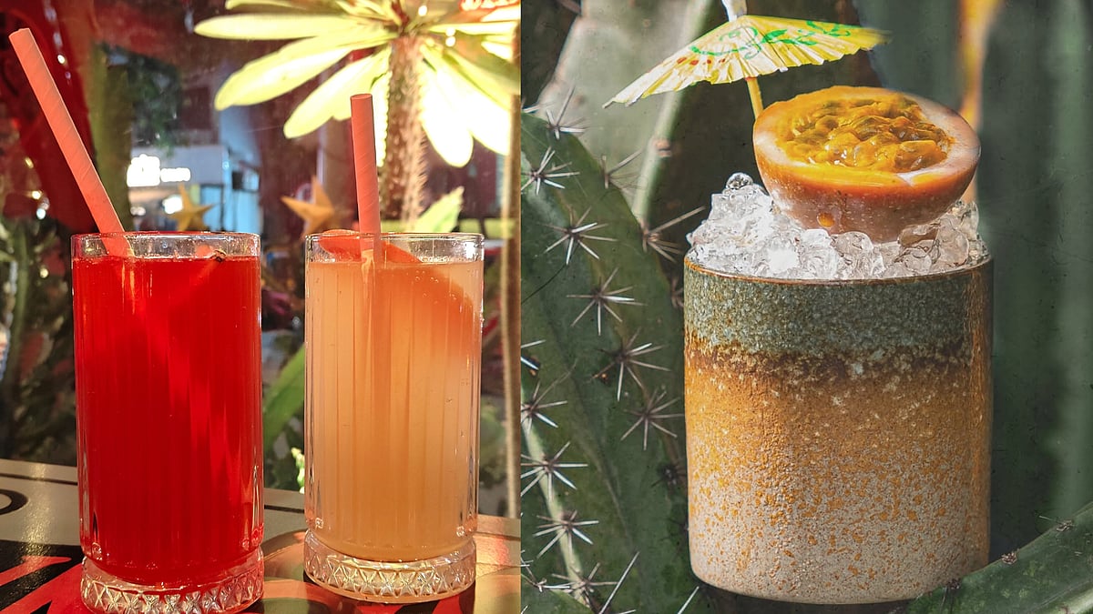 (From left to right): Aqua Fresca, Verde Fizz and Black Rice De Horchata. 