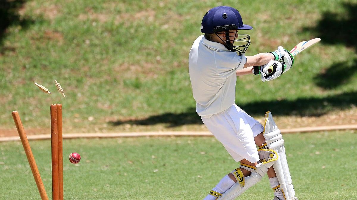 Dream Job Alert In Pune: Watch Cricket For Free & Earn ₹400 Per Day