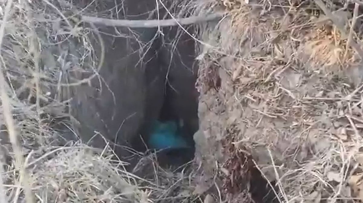 J&K: IED Found In Shopian Orchard, Bomb Squad Rushes To Defuse Device