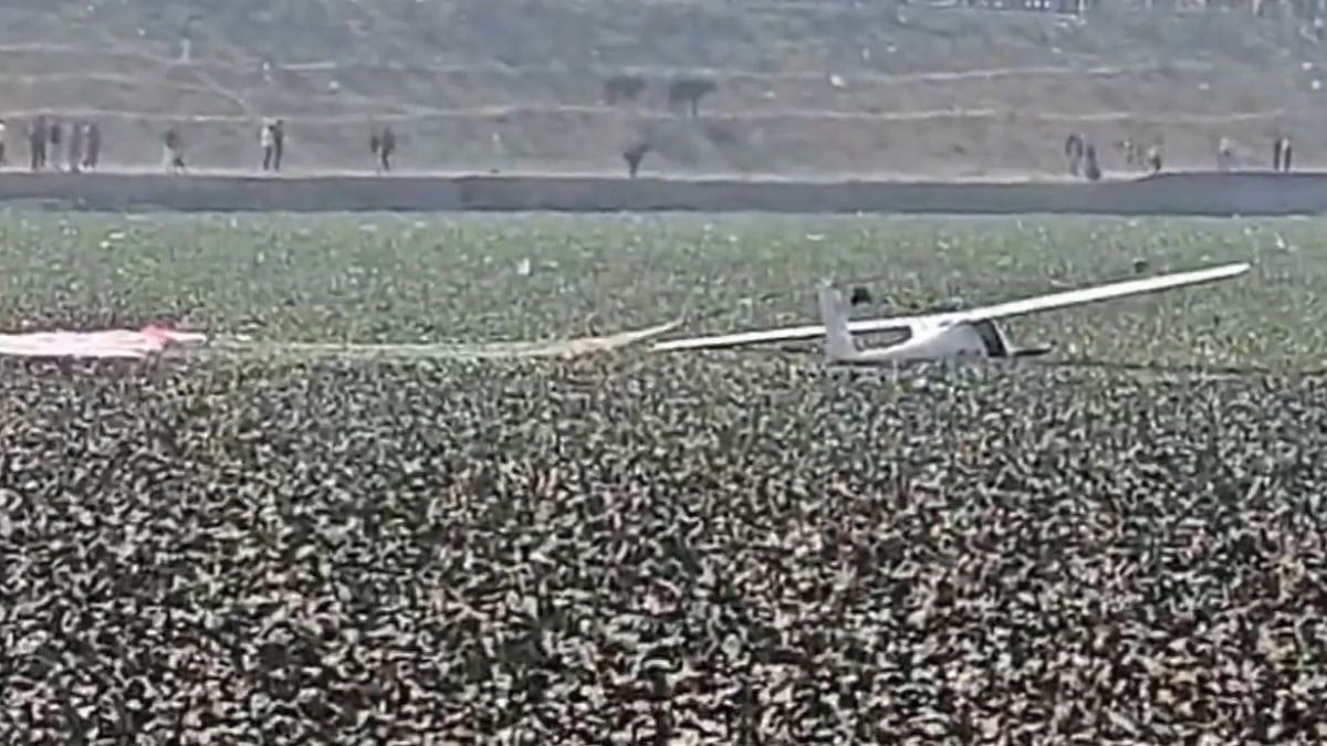 IAF's Microlight Aircraft Crashes In UP's Prayagraj: VIDEO 