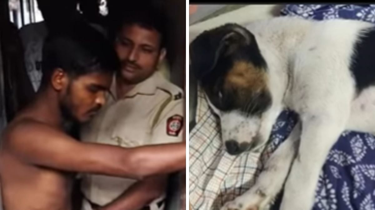 Mumbai Horror: 2.5-Month-Old Puppy Sexually Assaulted & Beaten In Malad, Accused Arrested; Video  | 