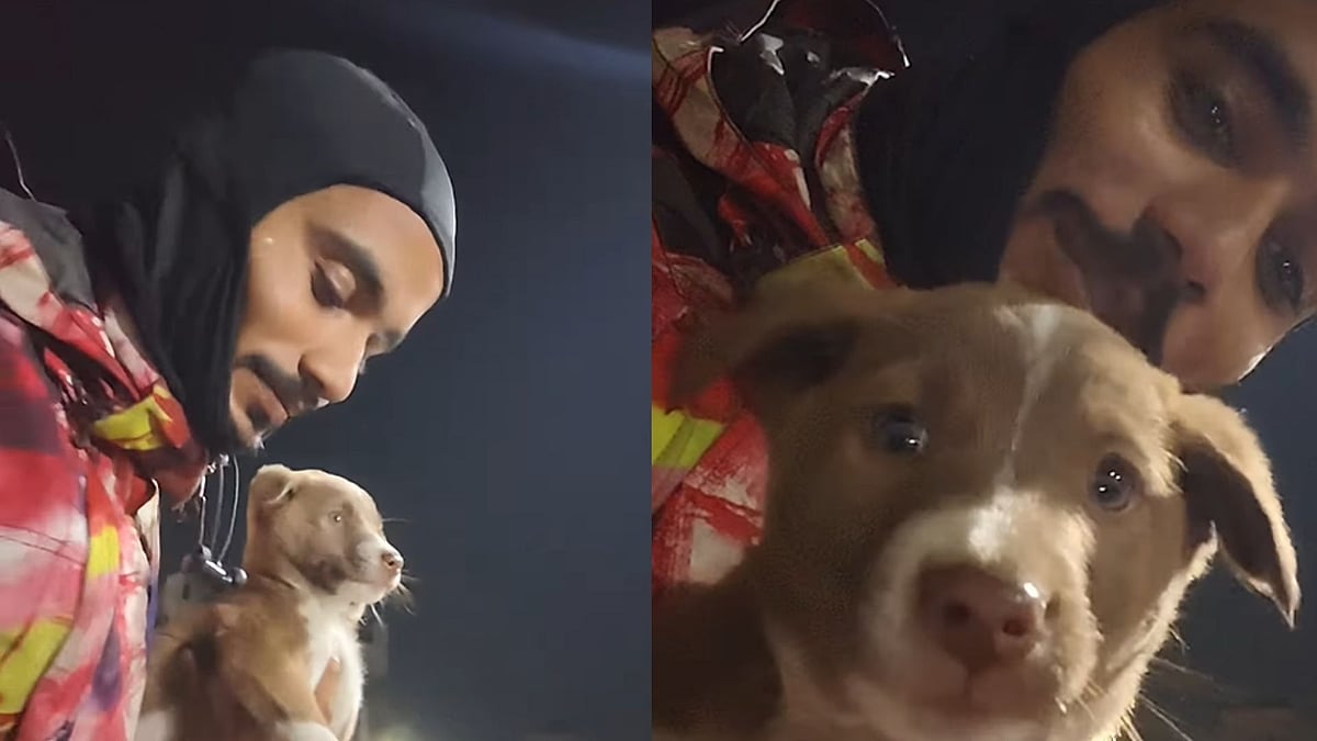 Viral: Zomato Rider Rescues Puppy From Being Run-Over On Busy Road: Says, 'Bahaut Dino Baad Dost Mila' 