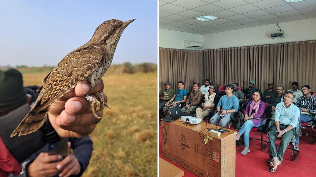 Maharashtra: BNHS Conducts Ornithology Course At Nandur-Madhmeshwar Sanctuary To Promote Bird Conservation 