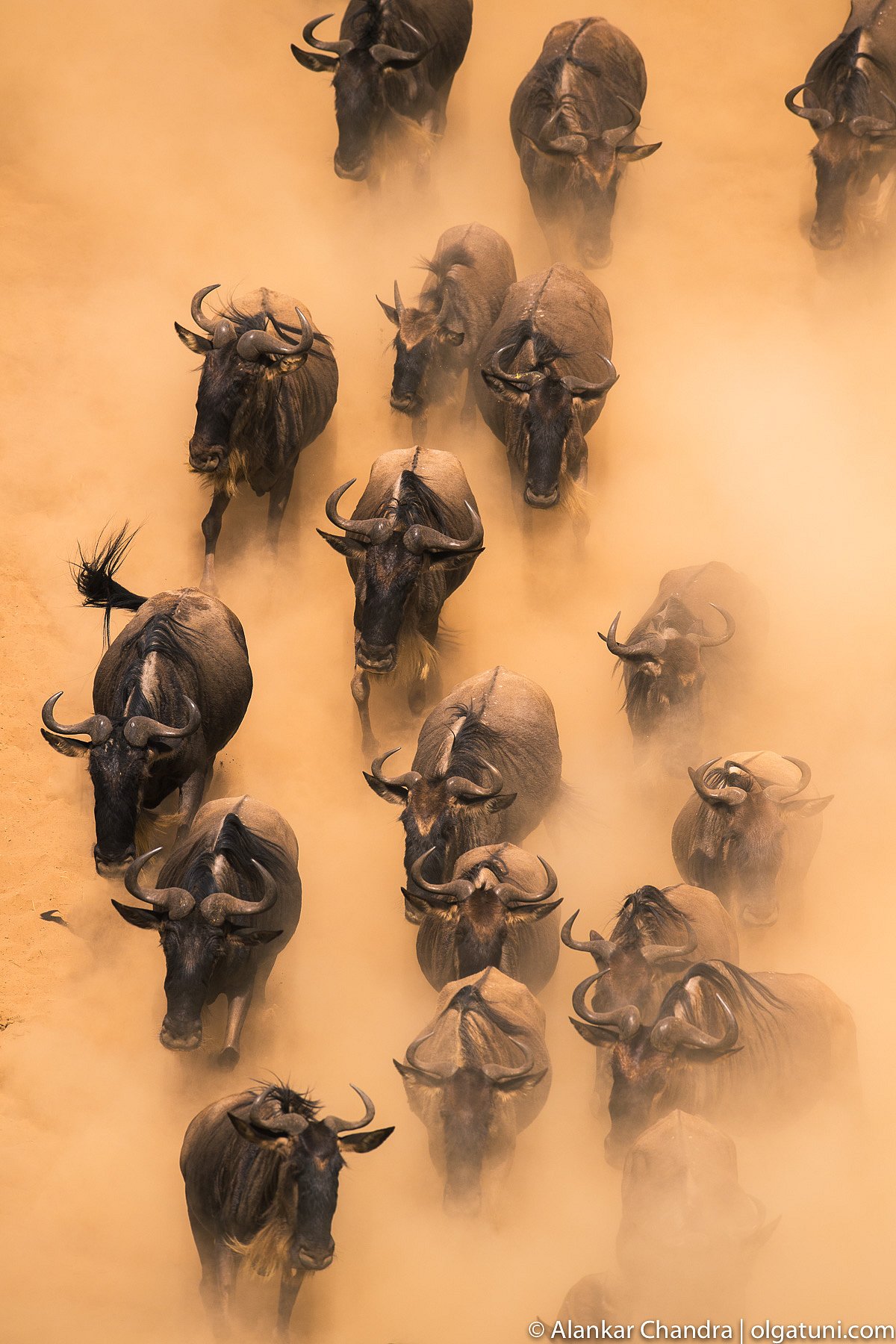 Great Migration