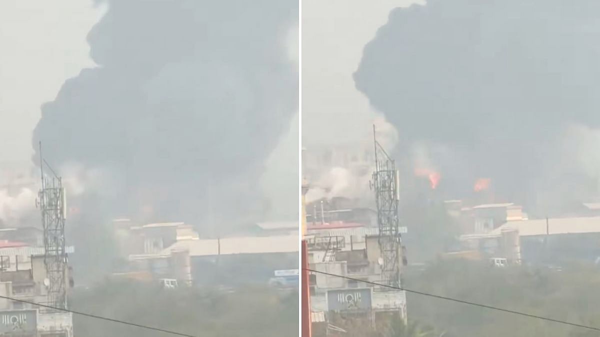 Navi Mumbai: Massive Fire At Pawane MIDC Chemical Company Destroys Eight Units, No Casualties Reported | Video 