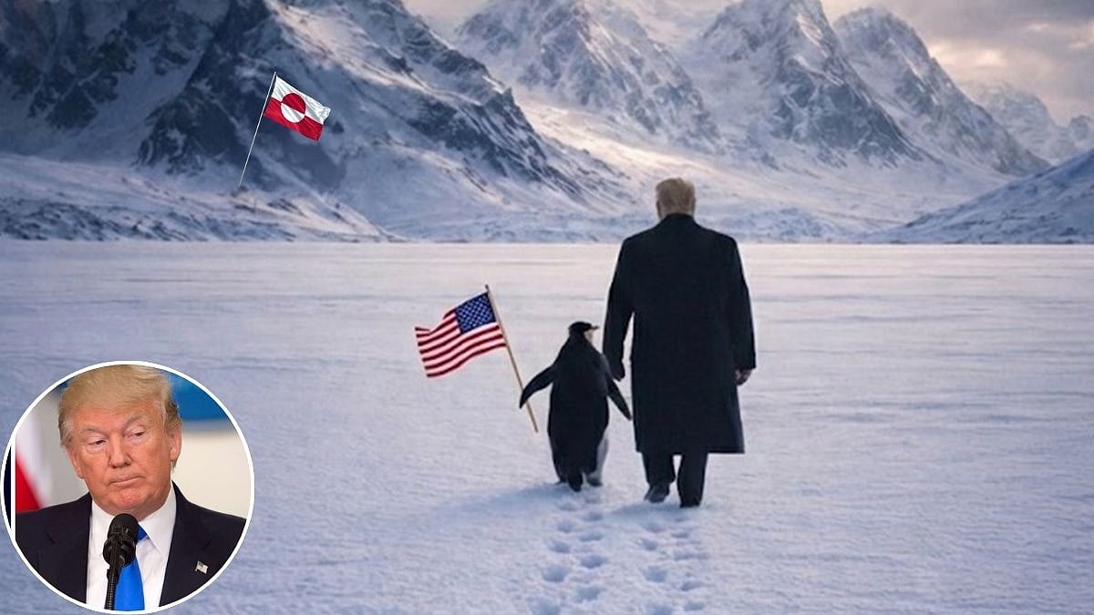 White House Penguin Meme Triggers Online Backlash Over Donald Trump’s Greenland Remarks 
