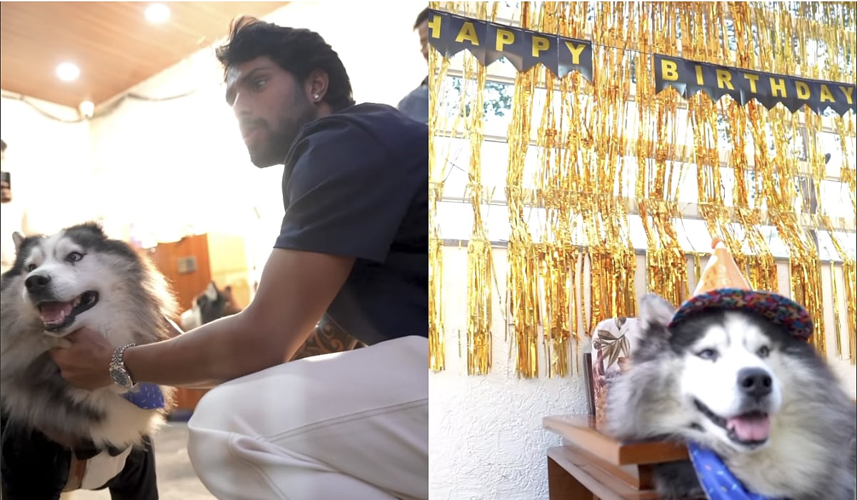 Tilak Varma's Dog Celebrates Birthday In Epic Moment As India Star Wins Over Internet With Viral...