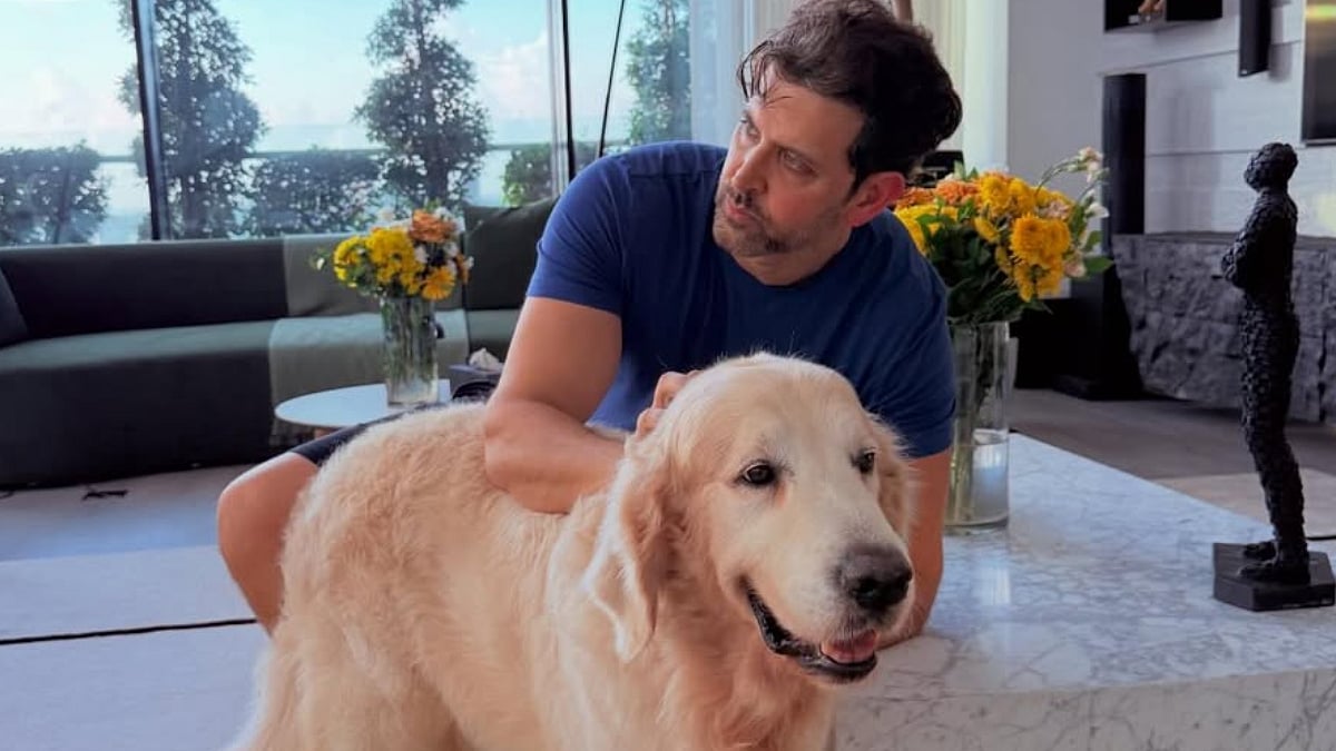 'Been Irritated All Day...': Hrithik Roshan Opens Up About His Body's 'ON/OFF Buttons' After Crutches Photo From Goldie Behl's Mumbai Party Goes Viral 