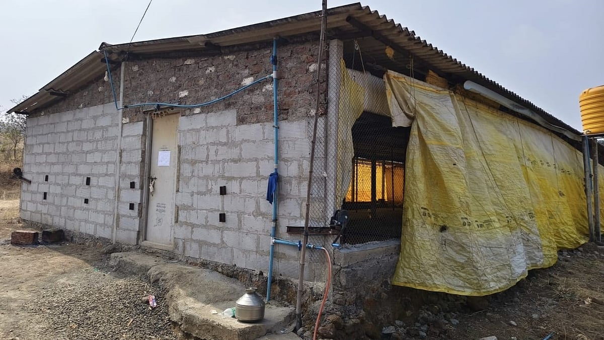 Maharashtra: DRI Busts Secret MD Drug Factory In Satara's Karad, Seizes Narcotics Worth ₹6,000...