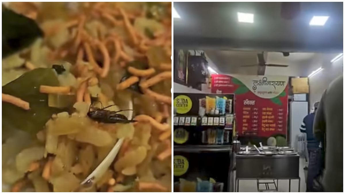 Pune: Dead Cockroach Found In Poha At Popular Eatery In Nal Stop; FDA Alerted