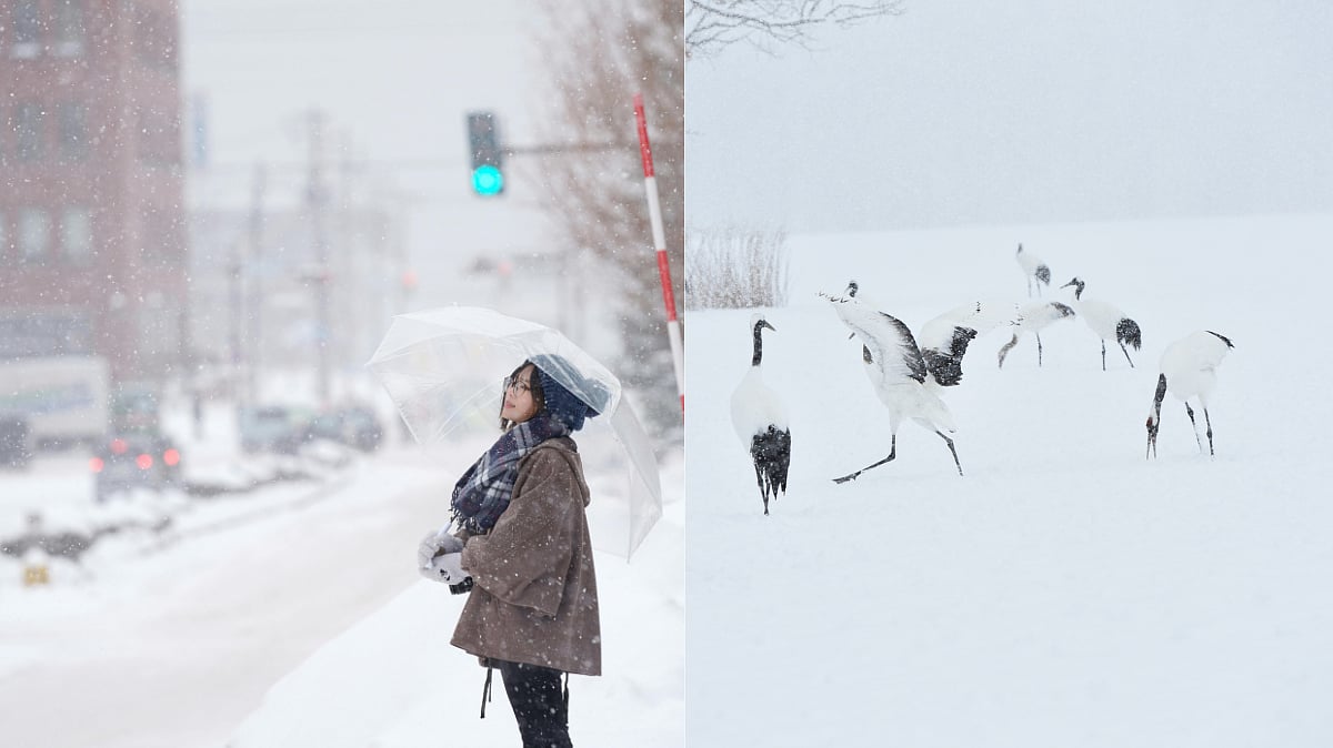 January is the best season to visit Hokkaido if you enjoy snow