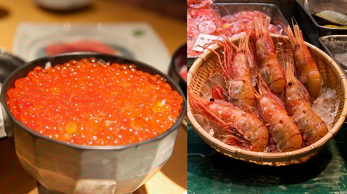 Hokkaido is a seafood haven 