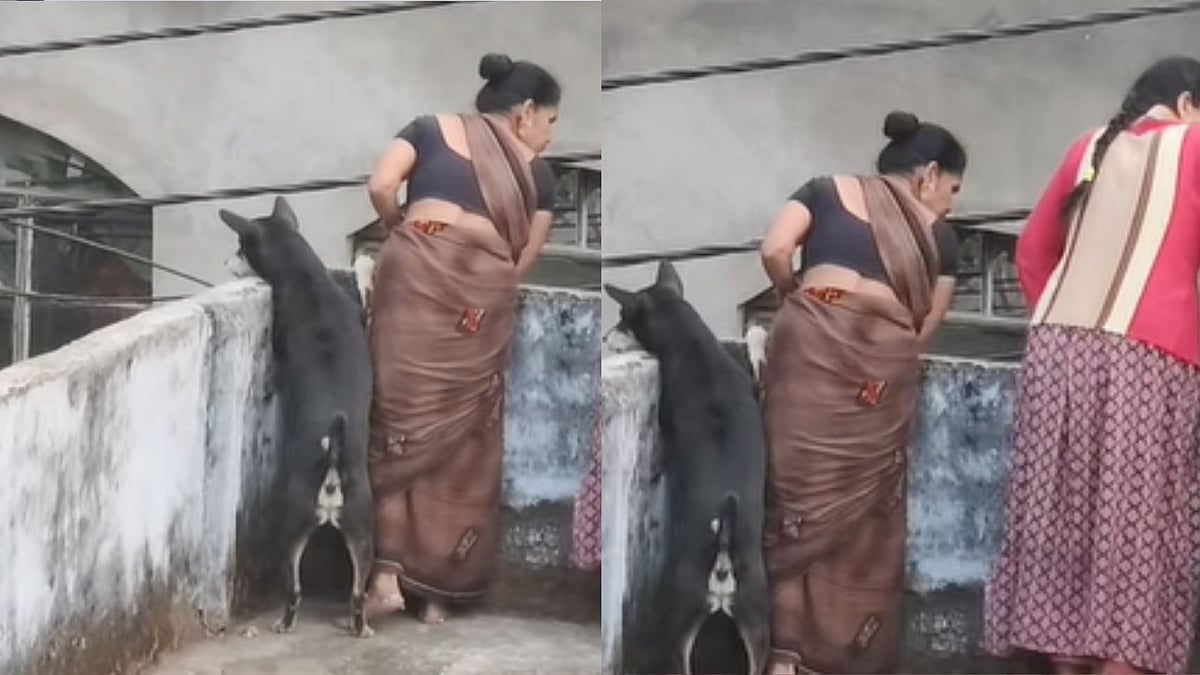 'Jaha Kalesh, Waha Dogesh': Video Of Dog Silently Watching Neighbourhood Arguement With Women Goes Viral -Watch 