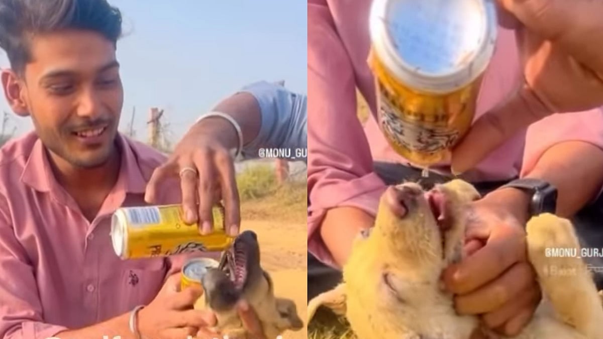 Man Forces Stray Puppy To Drink Canned Liquid: Netizens Claim It Was Alcohol & Demand Strict Action 