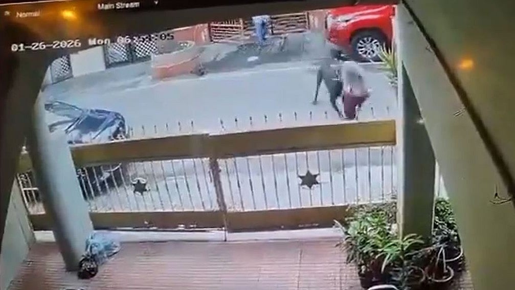 On Camera: Pet Dog Mauls 31-Year-Old Software Engineer In Bengaluru; Owner Booked For Negligence