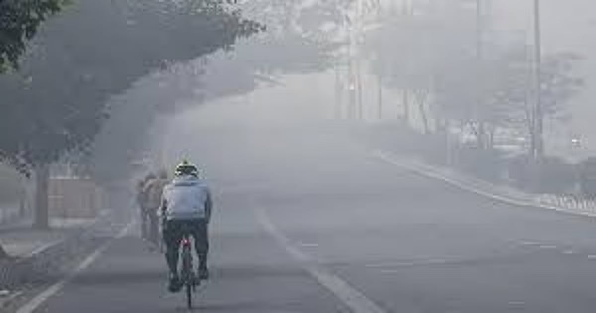 Madhya Pradesh January 31, 2026, Weather Update: Cold Weather Continues In State; Temperature Drops...