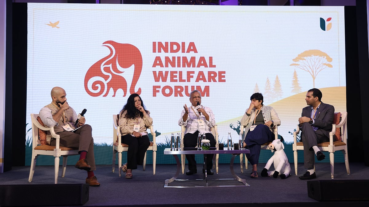 India Launches ₹14 Crore Animal Welfare Funding Circle To Bridge CSR Gaps And Strengthen National Protection Efforts 