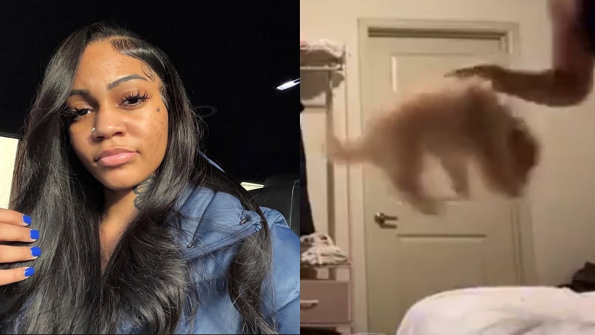 Rapper Aspen Kartier Brutally Strikes Puppy Multiple Time During Live Stream; Suspended From Twitch After Video Goes Viral 