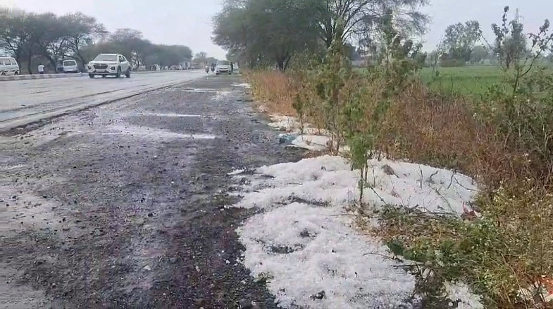 MP News: Farmers Stare At Crop Loss As Rain, Hailstorm Pound Neemuch