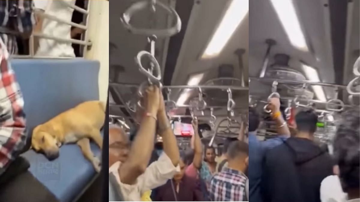 Heartwarming! Commuters Stand In Crowded Mumbai Local Train While Stray Dog Peacefully Sleeps On A...
