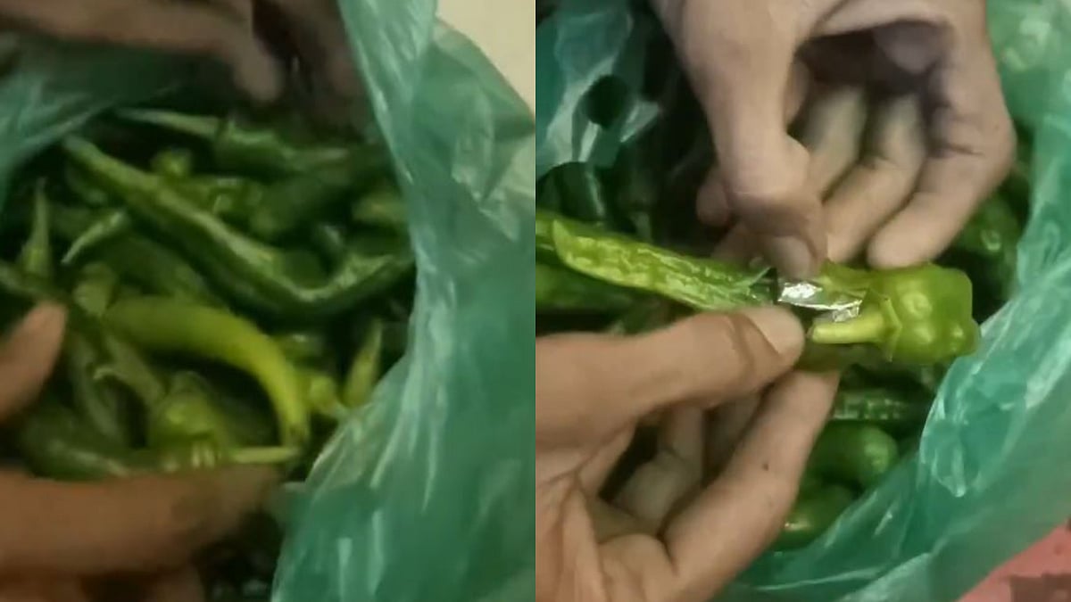Rajasthan News: Jodhpur Green Chilies Used To Smuggle Drugs To Hyderabad | VIDEO 
