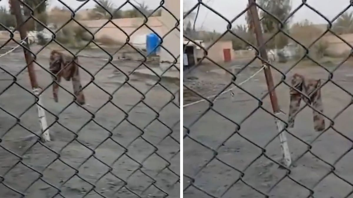 'Leave Their Pants Behind': Viral Video Shows Abandoned Trousers At Pakistan Military Nuski Camp...