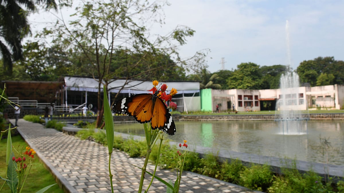 Guided Nature Walk In Airoli To Introduce Children To Urban Biodiversity At Coastal Marine And Biodiversity Park On February 8 