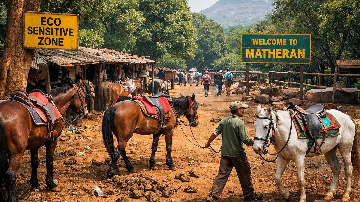 Maharashtra News: Horse Activity Causing Major Pollution In Matheran, MPCB Tells NGT; Calls For Reduction And Stable Relocation 
