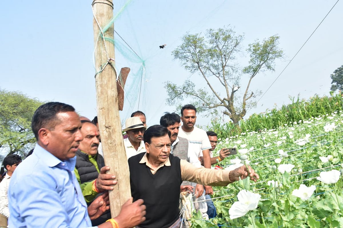 MP News: Deputy Chief Minister Jagdish Devda Promises Survey Of Every Field In Mandsaur After Hailstorm & Rain