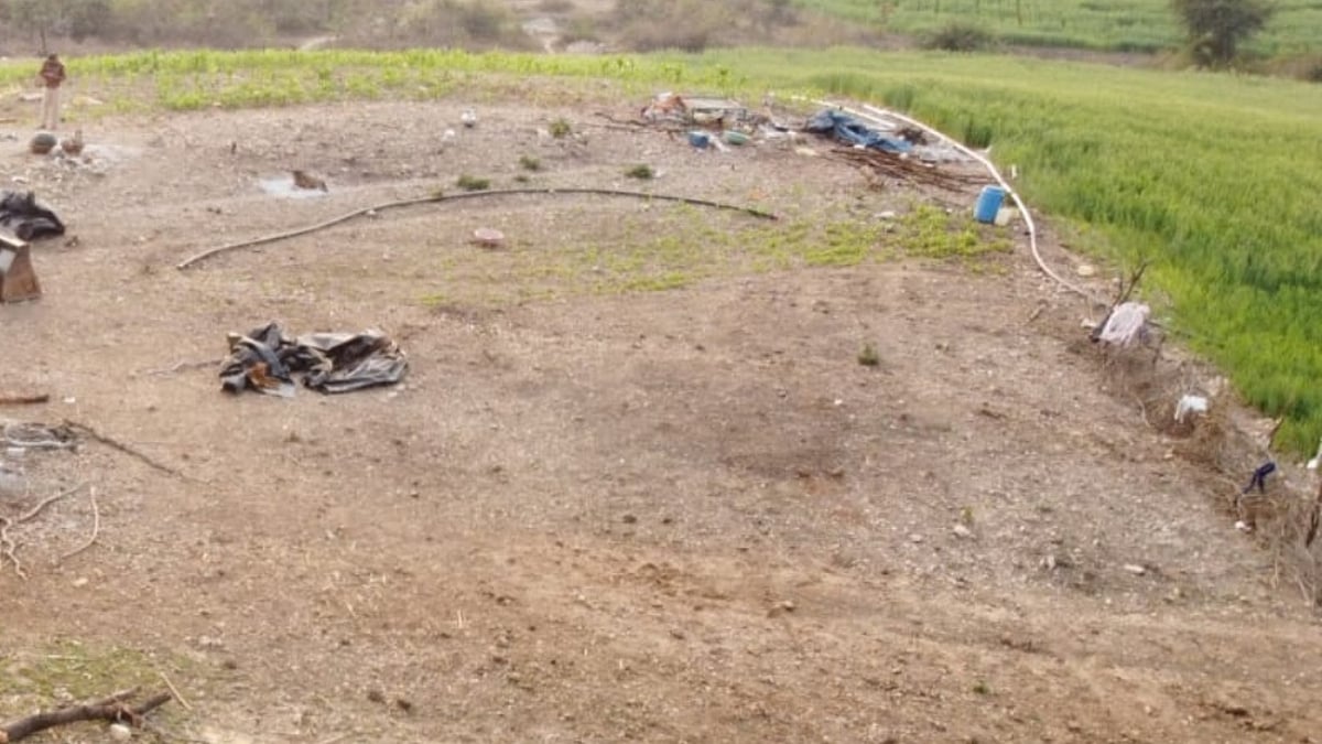 MP News: Forest Department Mulls 20 Hectares For Cattle Fodder In Meghnagar