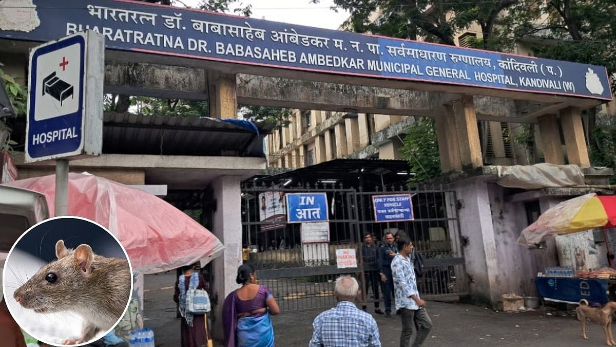 Mumbai News: Rat Droppings Found In Breakfast Served To Patient At BMC-Run Shatabdi Hospital In Kandivali, Negligence Alleged 