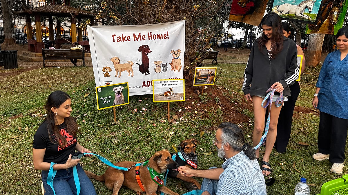 Welfare of Stray Dogs' open dog adoption counter at Horniman Circle Garden