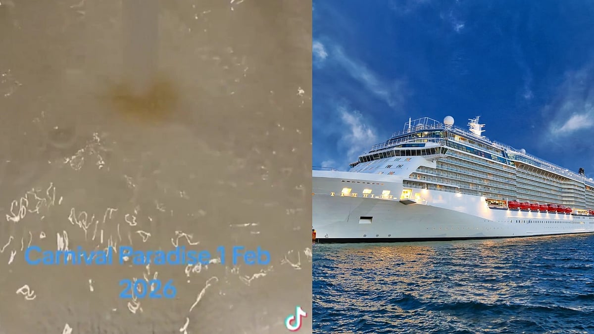 'Ship Smells Like Poop': Carnival Cruise Passenger's Video Showing White Towel Turn Brown In Seconds Under Tap Water Goes Viral - Watch 
