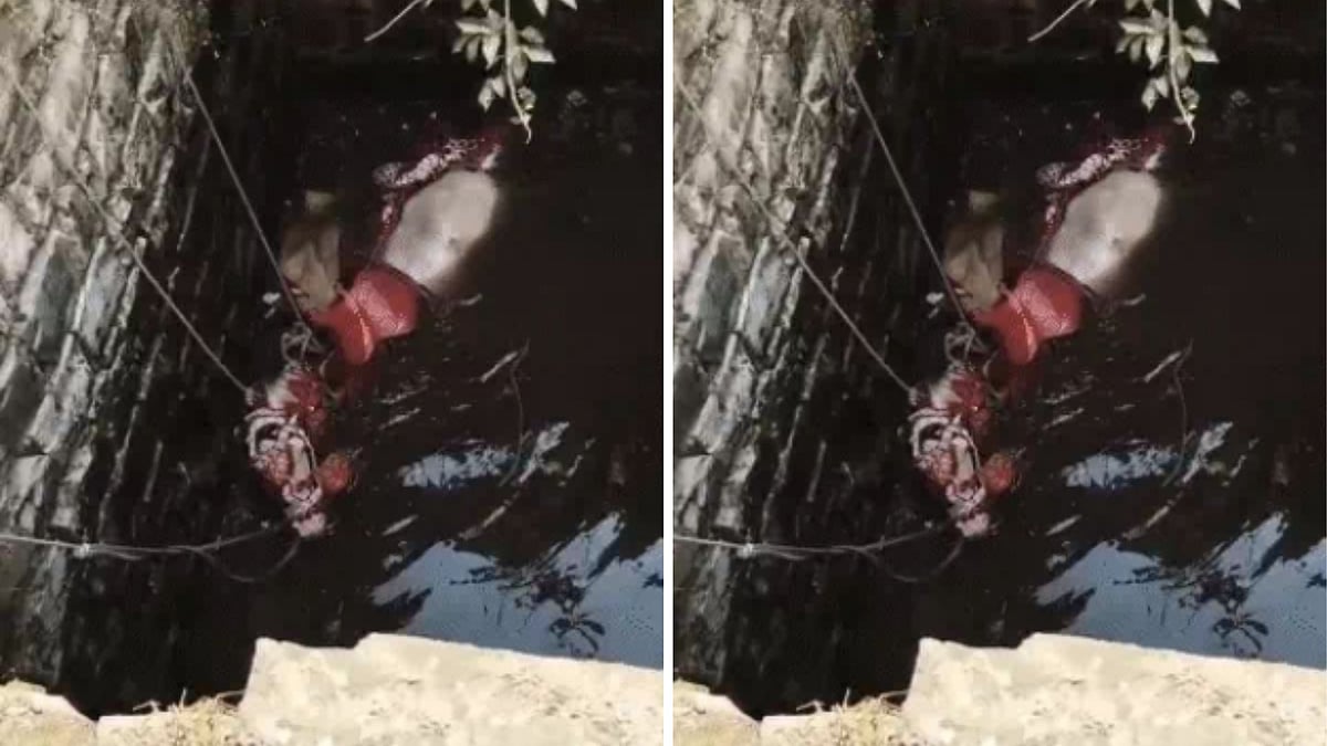 MP News: Mare Falls Into Well During Wedding Procession, Grooms Jumps In Time To Save life In...