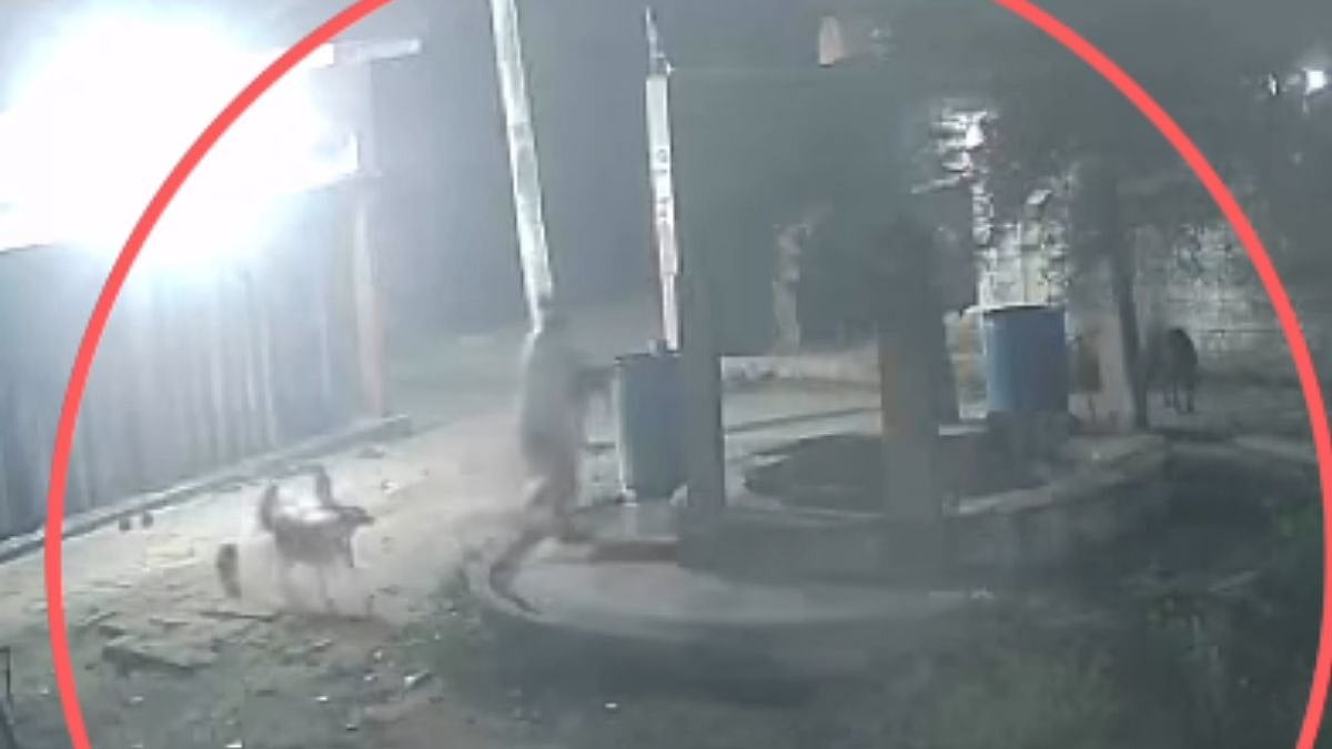 Cruelty Caught on CCTV: Man Throws Puppies Into Well As Mother Watches Helplessly In UP’s...