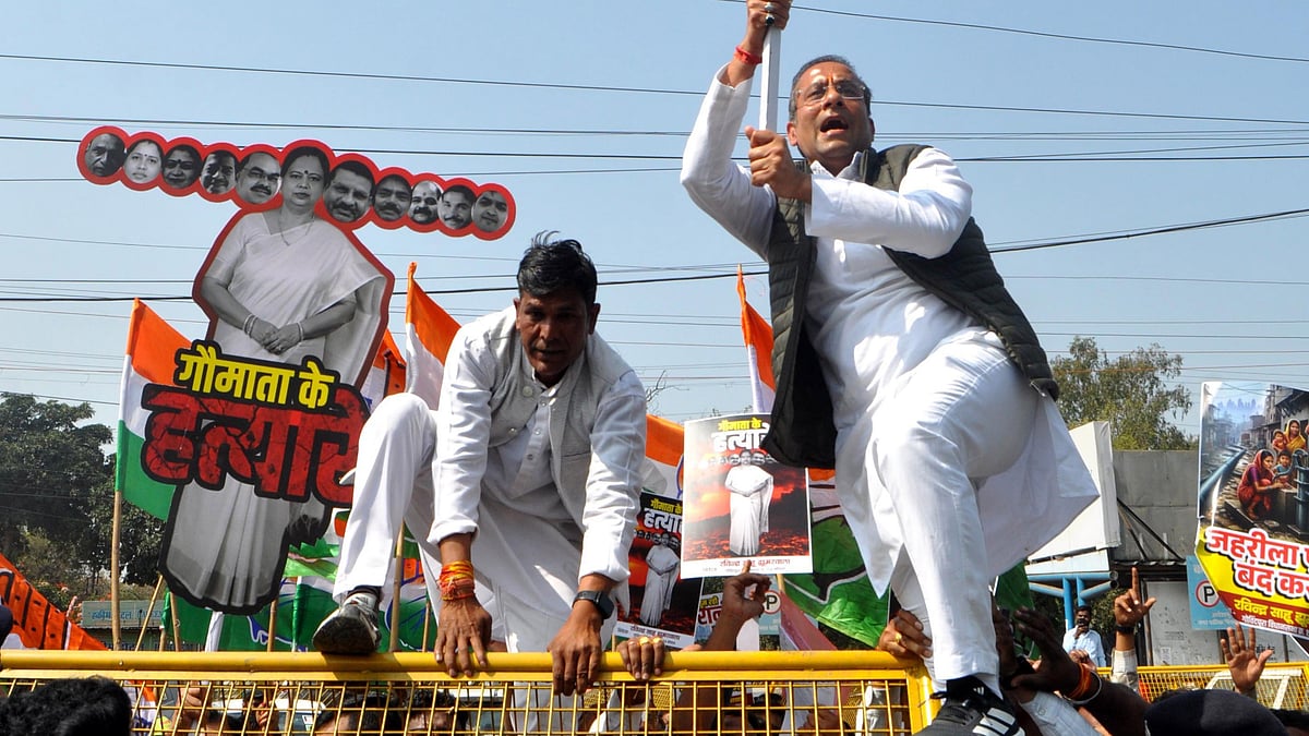 MP News: Congress Protests At BMC Office Over Beef Allegations, Water Crisis; Effigies Of Mayor And...