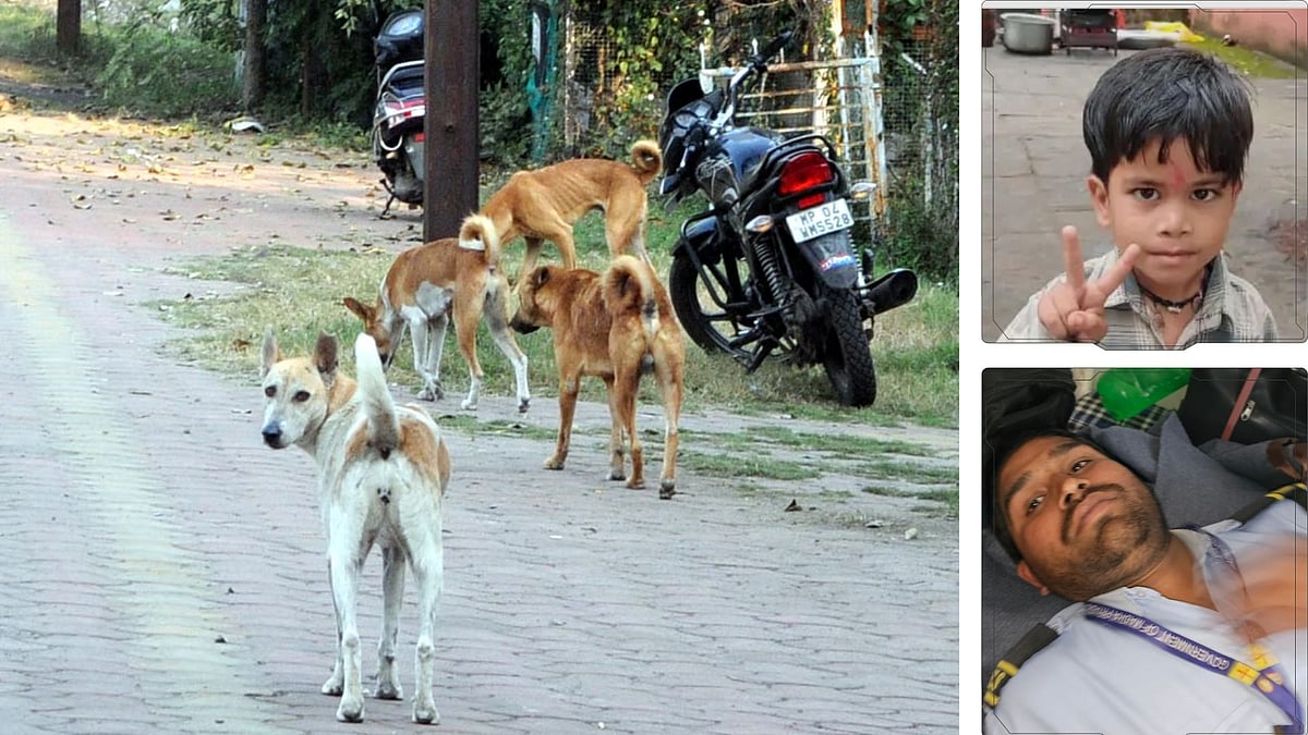 MP News: Child Dies Of Rabies Despite Getting 3 Doses Of Anti-Rabies Vaccine; 2 More Die Due To Dog...