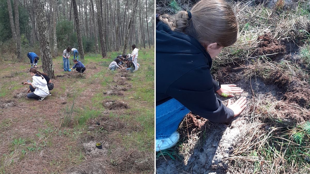 iNaturewatch Foundation's Butterfly Project Gains Global Stage, Selected For World Environmental...