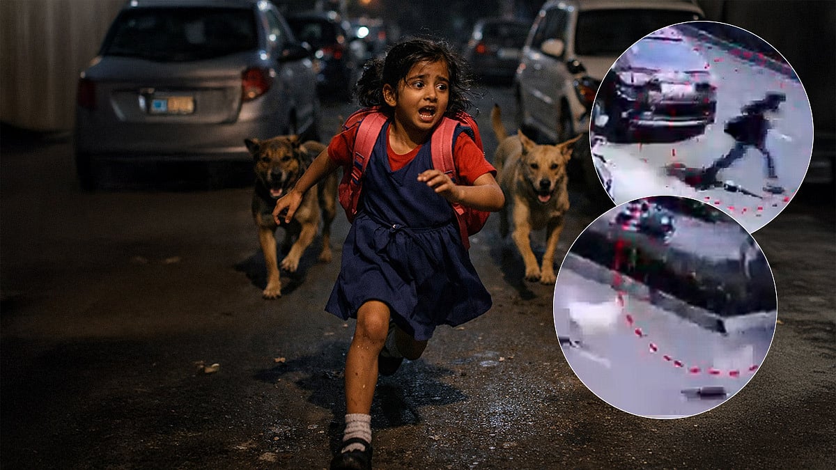 Mumbai: Viral Video Shows 7-Year-Old Girl Attacked By Several Stray Dogs In Dombivli's Palava...