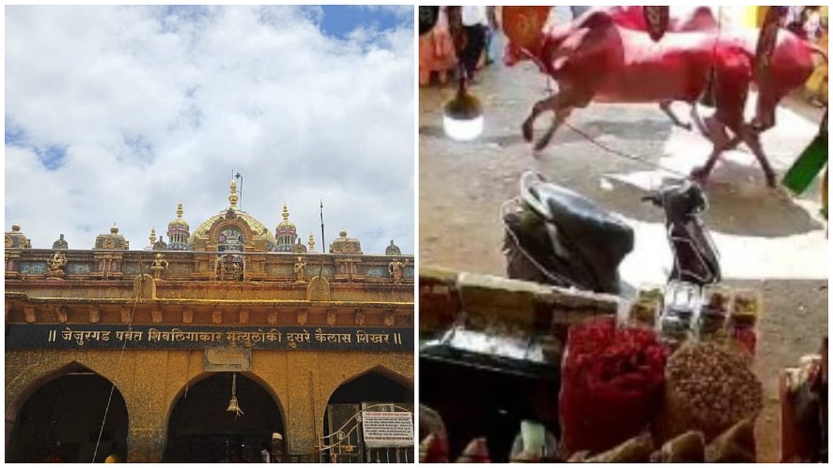 Three Devotees Injured After Racing Bulls Panic Crowd In Jejuri |WATCH VIDEO