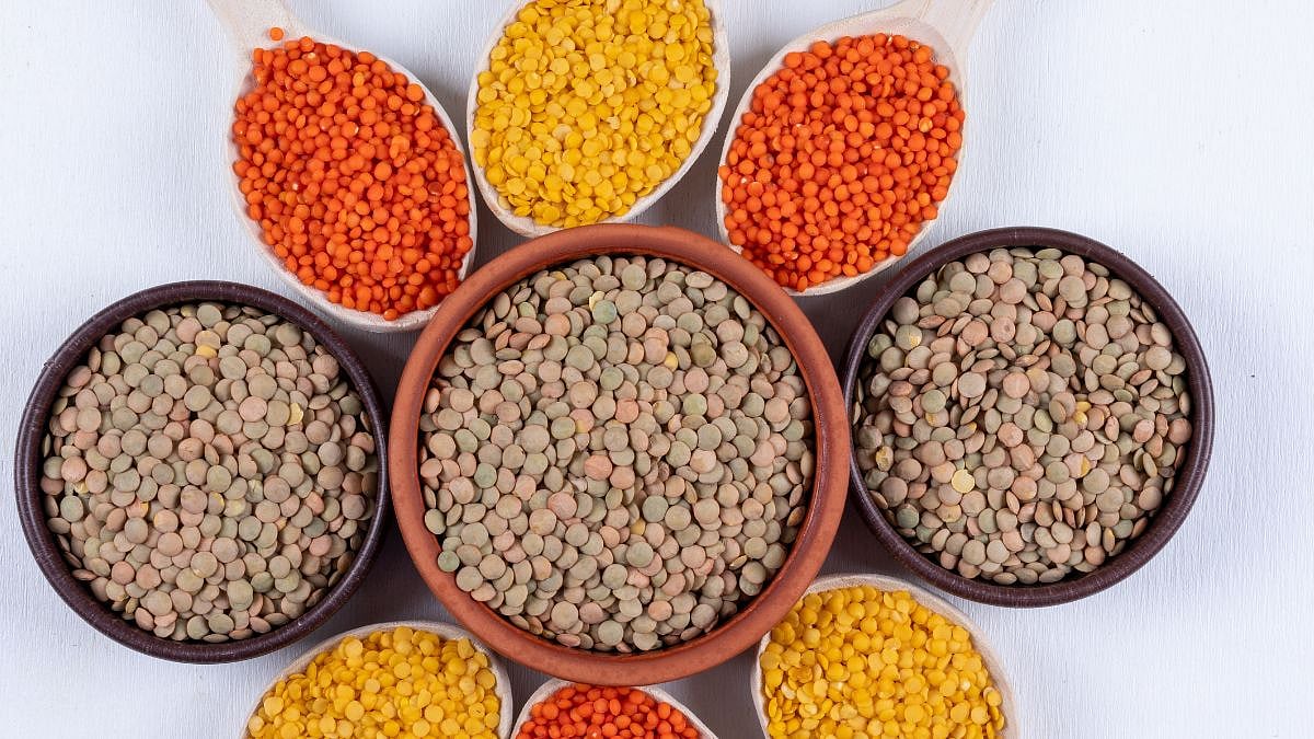 India–US Trade Deal: US Releases Fact Sheet, Adds ‘Certain Pulses’ To Tariff Cuts 