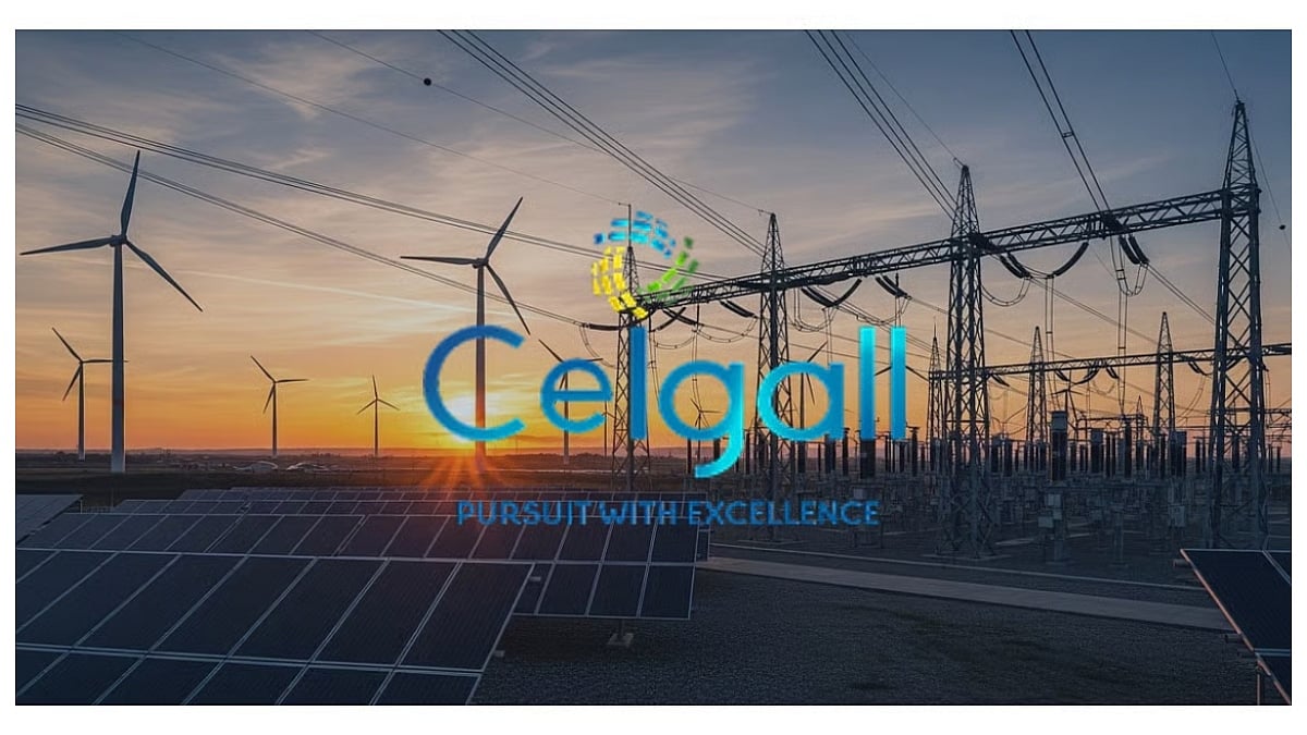 Ceigall India Bags ₹1,700 Crore 220 MW Solar & BESS Project In Madhya Pradesh 