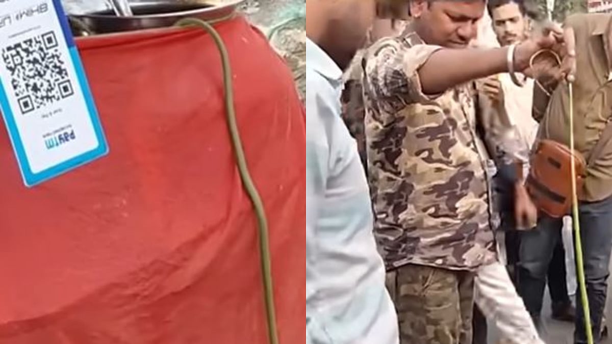 Palghar News: Snake On Pani Puri Cart Sparks Food Safety Concerns In Virar