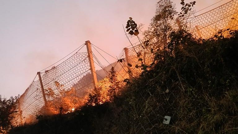 Forest Fire Erupts Near Mumbra Devi Temple; Emergency Services Deployed 