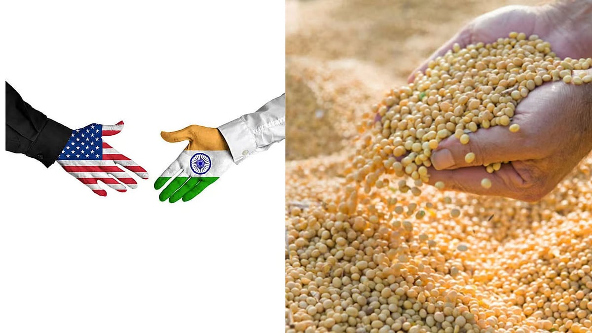 Indore News: SOPA Hails Centre's Decision To Exclude Soyabean From India-US Trade Concessions