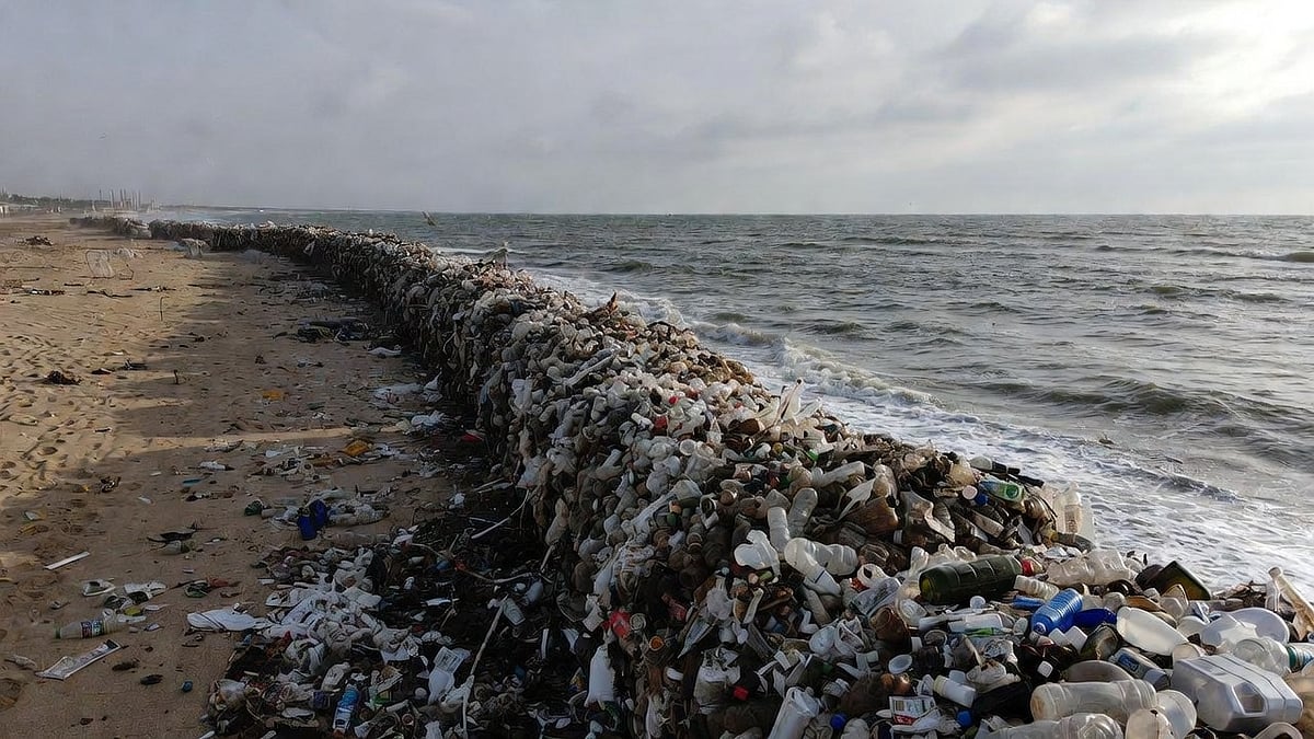 Mumbai To Get Plastic-Trapping Barriers After Shocking Survey Reveals 5 Mn Kg Waste Released Into Waters Every Year 