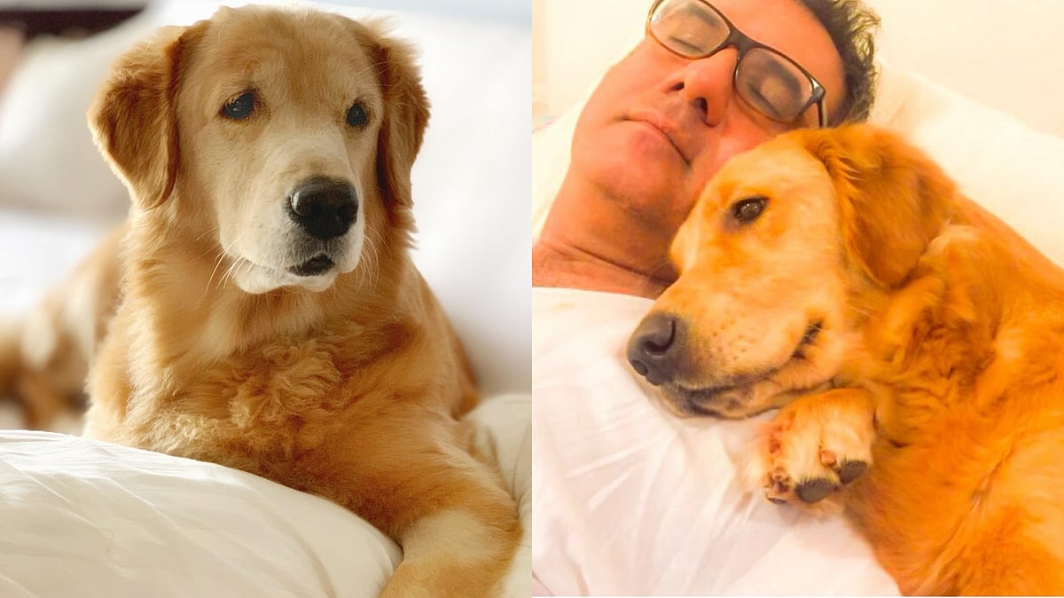 Boman Irani Mourns Death Of Pet Dog Lisa, Shares Throwback Photos: 'You Were The Most Noble, Gentle...