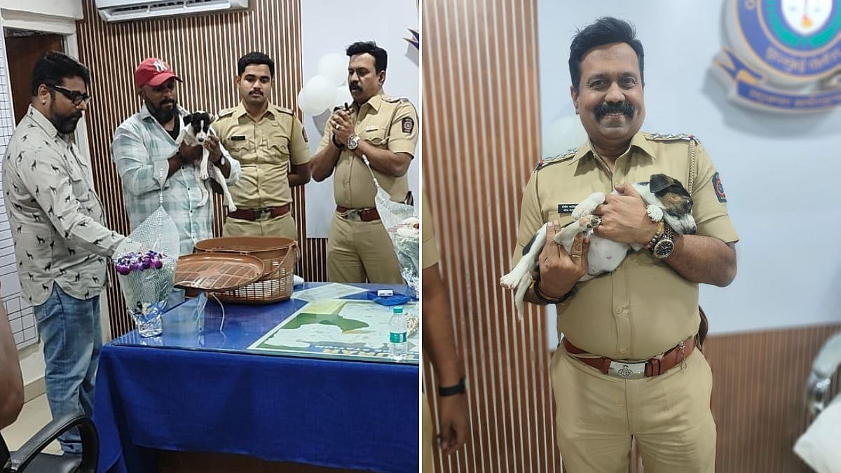 Mumbai Police Track Puppy Sexual Assault Accused To Uttar Pradesh In First Cross-State Animal Cruelty Operation 